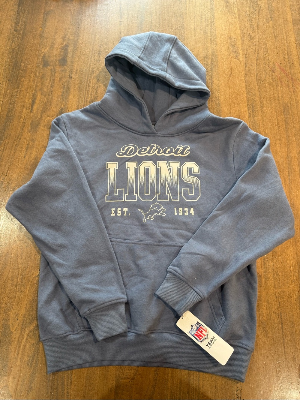 NFL Detroit Lions Pullover Hoodie - Slate Blue with White Logo - (Youth)